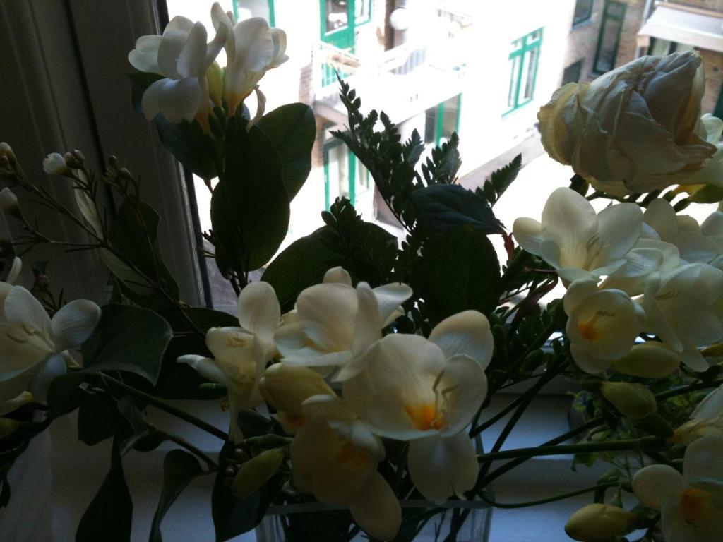 The Pea Blossom B&B 哥本哈根 外观 照片